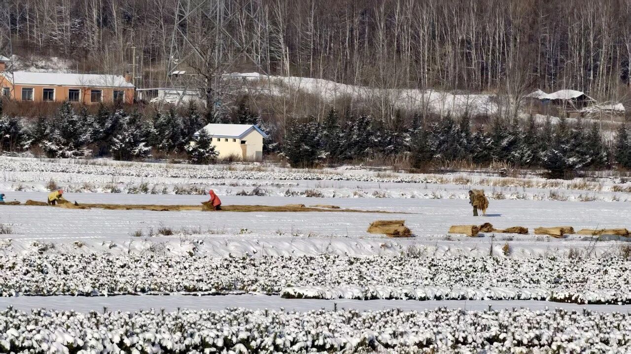 1763708198657386.jpg 微信圖片_2025-11-21_145210_694.jpg